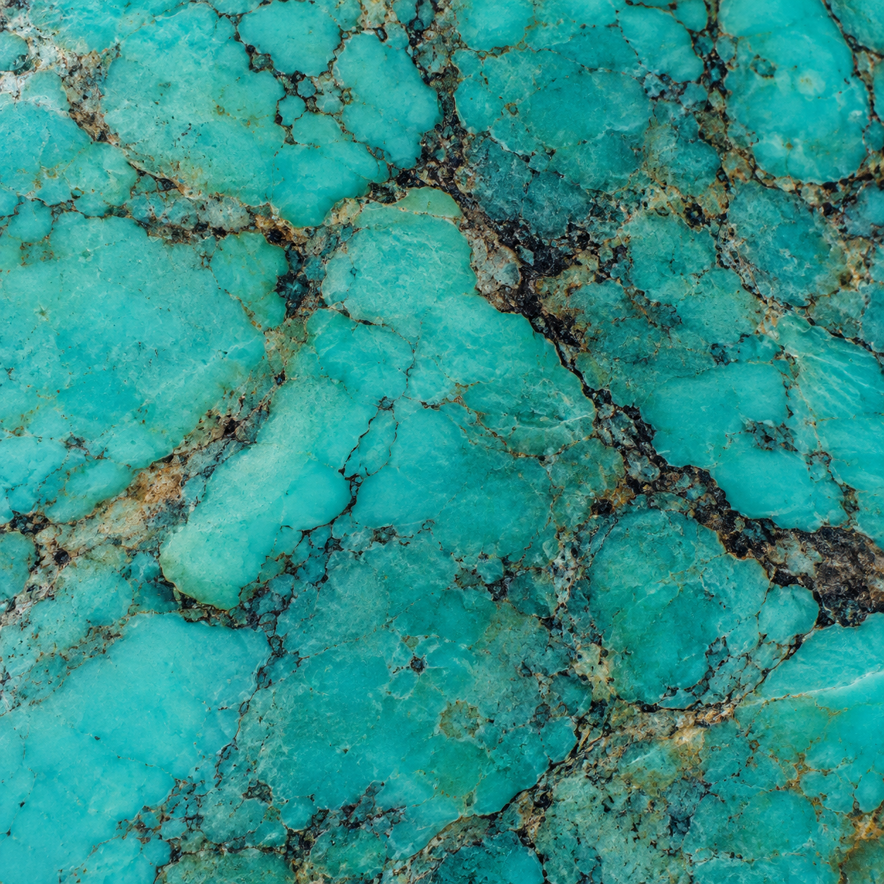 Turquoise-colored mineral texture with natural dark veining